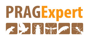 Logotipo PRAGExpert